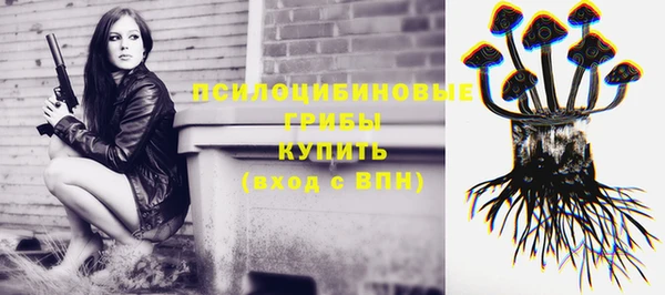 марки lsd Ельня