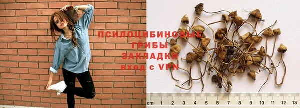 марки lsd Ельня